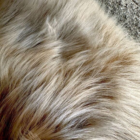 Ralph Lauren Collection Pre-Fall 2014 Lamb Shearling Fur Collar Cardigan - Picture 5 of 16